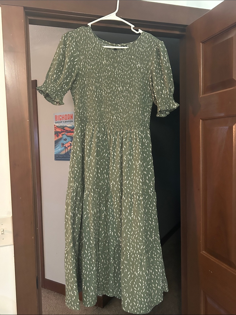 Olive Green Printed Smocked Maxi Dress - Women